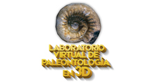 3dpaleontologia