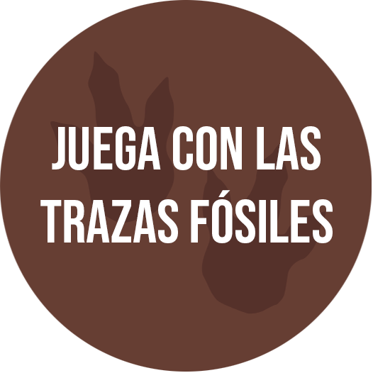 juego_trazas_fosiles