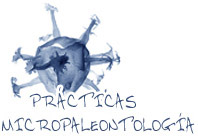 Practicas micropaleotologia